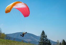 Sky ZOE Light (mini wing)